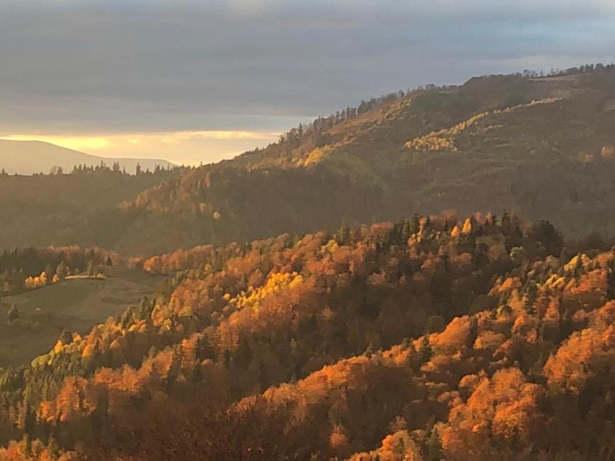 Mizhhirya Дбайлива Ципа住宿加早餐旅馆 外观 照片